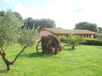 Agriturismo Sardinie - La Quercia di Gallura (1)